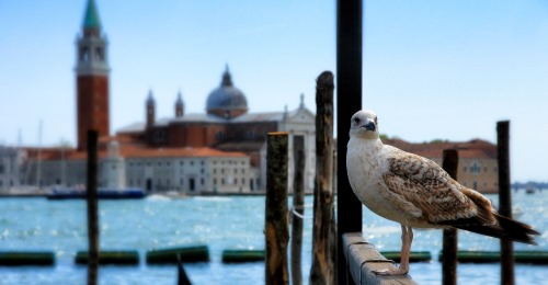 https://www.literaturportal-bayern.de/images/lpbawards/Venedig_k.jpg