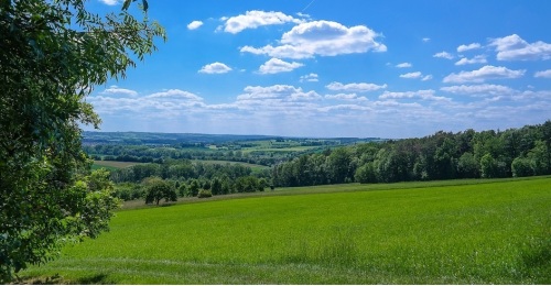 https://www.literaturportal-bayern.de/images/lpbblogs/autorblog/2020/Mittelfranken_Wiese_500.jpg