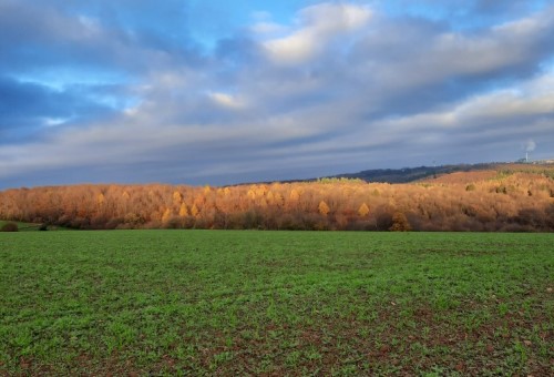 https://www.literaturportal-bayern.de/images/lpbblogs/autorblog/2021/klein/Bergisches_Land_Canada_500.jpg