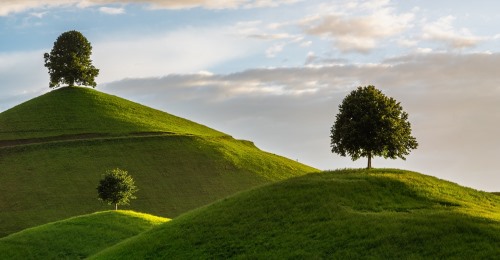 https://www.literaturportal-bayern.de/images/lpbblogs/corona/klein/hill_500.jpg#joomlaImage://local-images/lpbblogs/corona/klein/hill_500.jpg?width=500&height=260