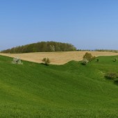 images/lpbblogs/corona/klein/panorama_odenwald_170.jpg#joomlaImage://local-images/lpbblogs/corona/klein/panorama_odenwald_170.jpg?width=170&height=170
