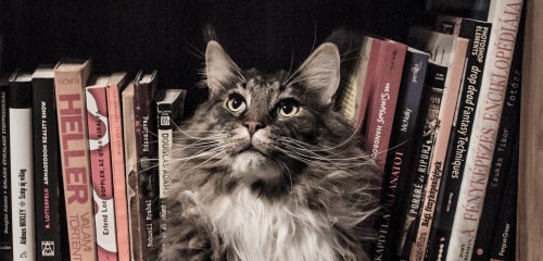https://www.literaturportal-bayern.de/images/lpbblogs/instblog/2017/klein/verlag_500.jpg