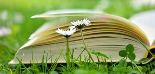 https://www.literaturportal-bayern.de/images/lpbblogs/instblog/2018/klein/book-2304389_500.jpg