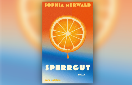 https://www.literaturportal-bayern.de/images/lpbblogs/instblog/2026/klein/Sperrgut_Rezension_Aufmacher.png#joomlaImage://local-images/lpbblogs/instblog/2026/klein/Sperrgut_Rezension_Aufmacher.png?width=500&height=325