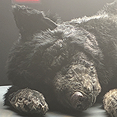 images/lpbblogs/instblog/2026/klein/Wolf-Brechtfestival-26_170.jpg#joomlaImage://local-images/lpbblogs/instblog/2026/klein/Wolf-Brechtfestival-26_170.jpg?width=170&height=170