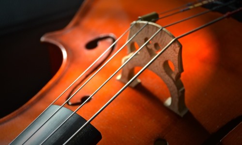https://www.literaturportal-bayern.de/images/lpbblogs/redaktion/2019/klein/Aufmacherbild_Cello_500.jpg