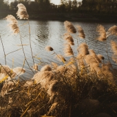 images/lpbblogs/startpage/Foto_Gedichte_Birnmeyer_170.jpg#joomlaImage://local-images/lpbblogs/startpage/Foto_Gedichte_Birnmeyer_170.jpg?width=170&height=170