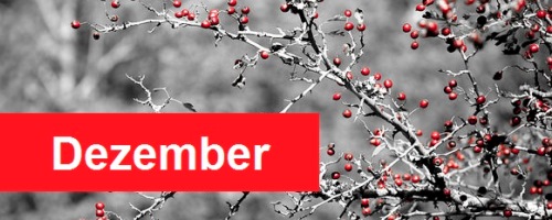 https://www.literaturportal-bayern.de/images/lpbevents/2017/12/Dezember500.jpg
