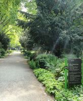 https://www.literaturportal-bayern.de/images/lpbplaces/2015/klein/street_Alter_Botanischer_Garten_Mnchen_-_DSC07388_164.jpg