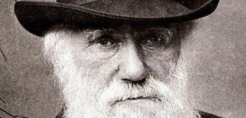 https://www.literaturportal-bayern.de/images/lpbthemes/2014/klein/rebell_437px-Charles_Darwin_1880_240.jpg