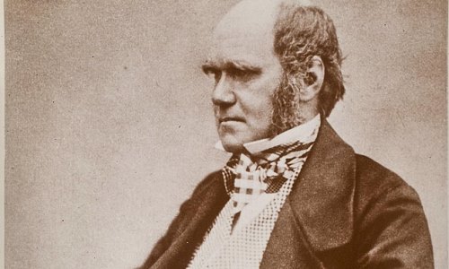 https://www.literaturportal-bayern.de/images/lpbthemes/2022/klein/moby_Charles_Darwin_500.jpg